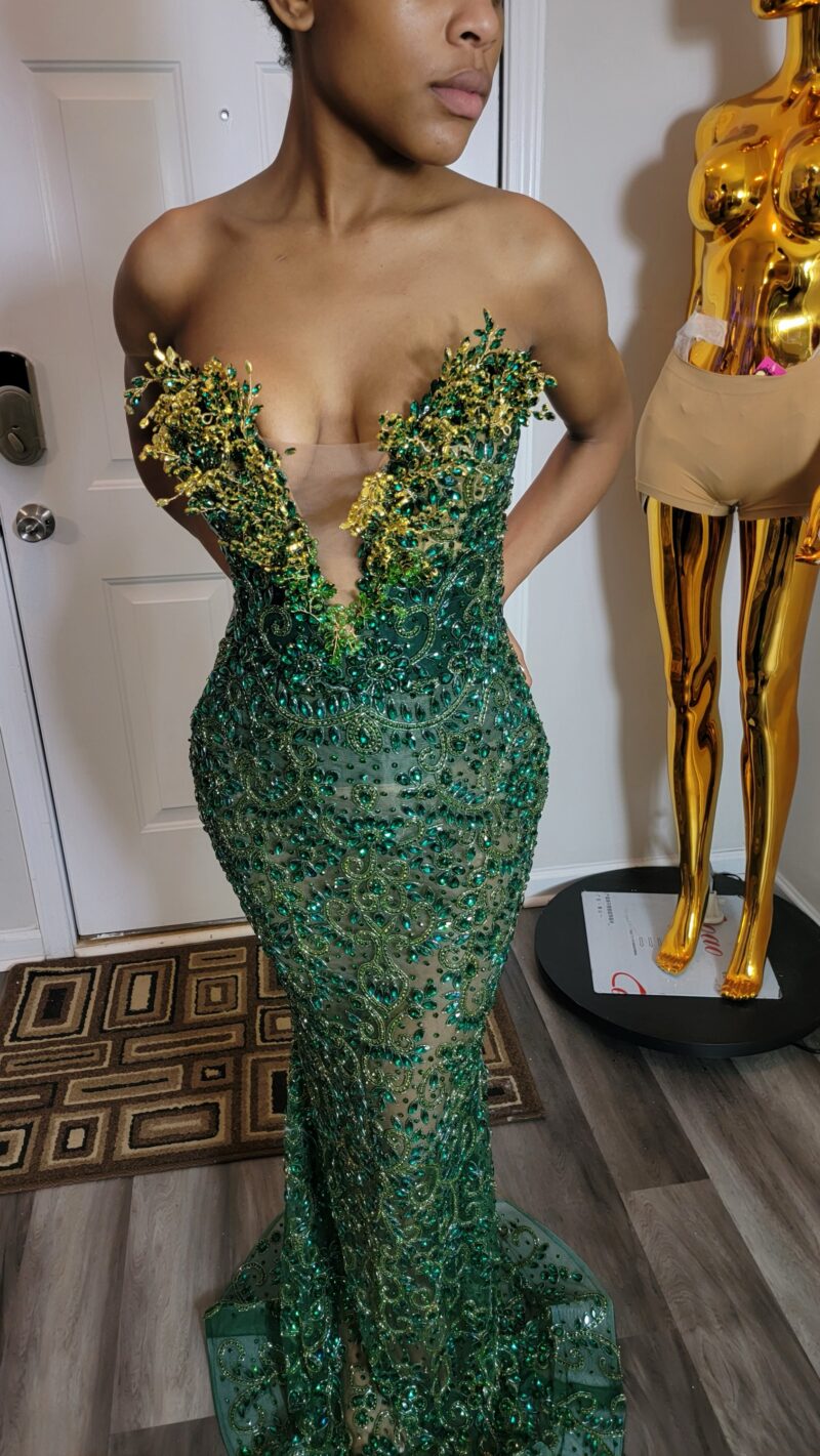 Sarah Luxury beaded dress